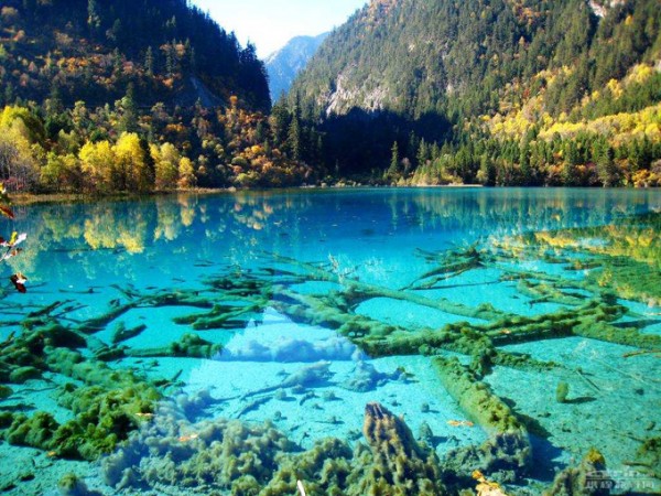 5-lago-cristalino-turquoise-jiuzhaigou-national-park-china-600x450